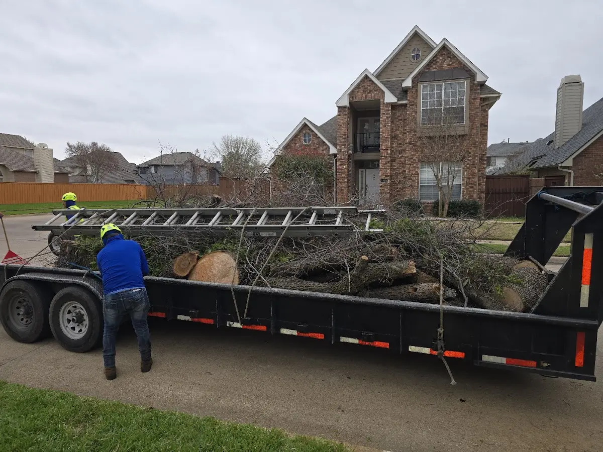 Expert Lot Clearing with proper safety equipment in Dundee